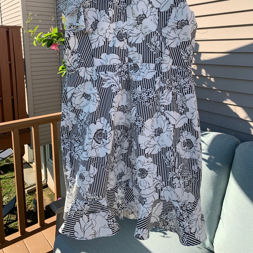 Charles Henry Dress New With Tags